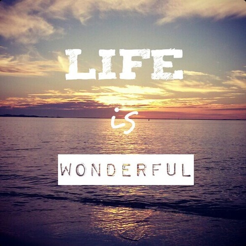 111712-Life-Is-Wonderful